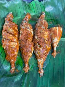 Shellsons-in-Indien (9)